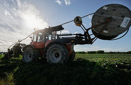 Tractor with cable drum ploughing in medium voltage cable